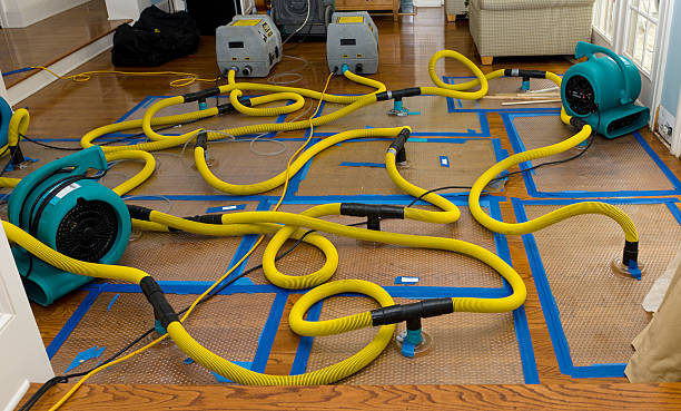 Professional Basement Flood Cleanup technician working in Artesia, NM
